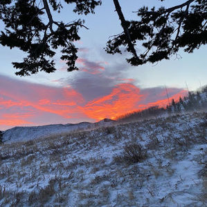 Meet your Posher, Abbie